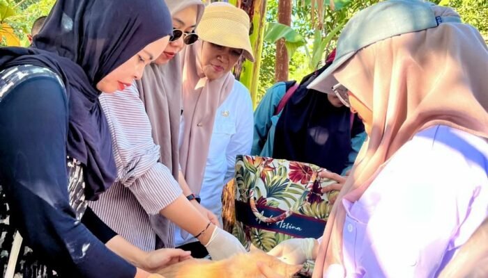 Jambore Pelayanan Publik Gantarang Hadirkan Layanan Kesehatan Hewan, Sapi hingga Kucing Dilayani