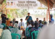 Wabup Pinrang Pinrang hadiri kegiatan tanam perdana teknologi pertanian modern Advanced Agricultura system