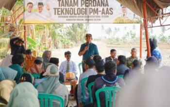 Wabup Pinrang Pinrang hadiri kegiatan tanam perdana teknologi pertanian modern Advanced Agricultura system