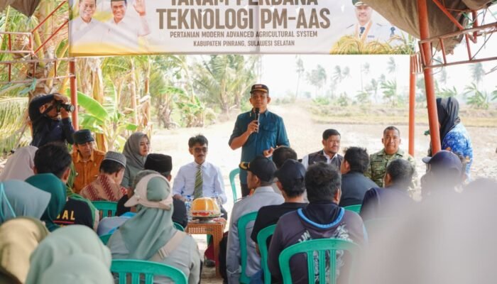 Wabup Pinrang Pinrang hadiri kegiatan tanam perdana teknologi pertanian modern Advanced Agricultura system